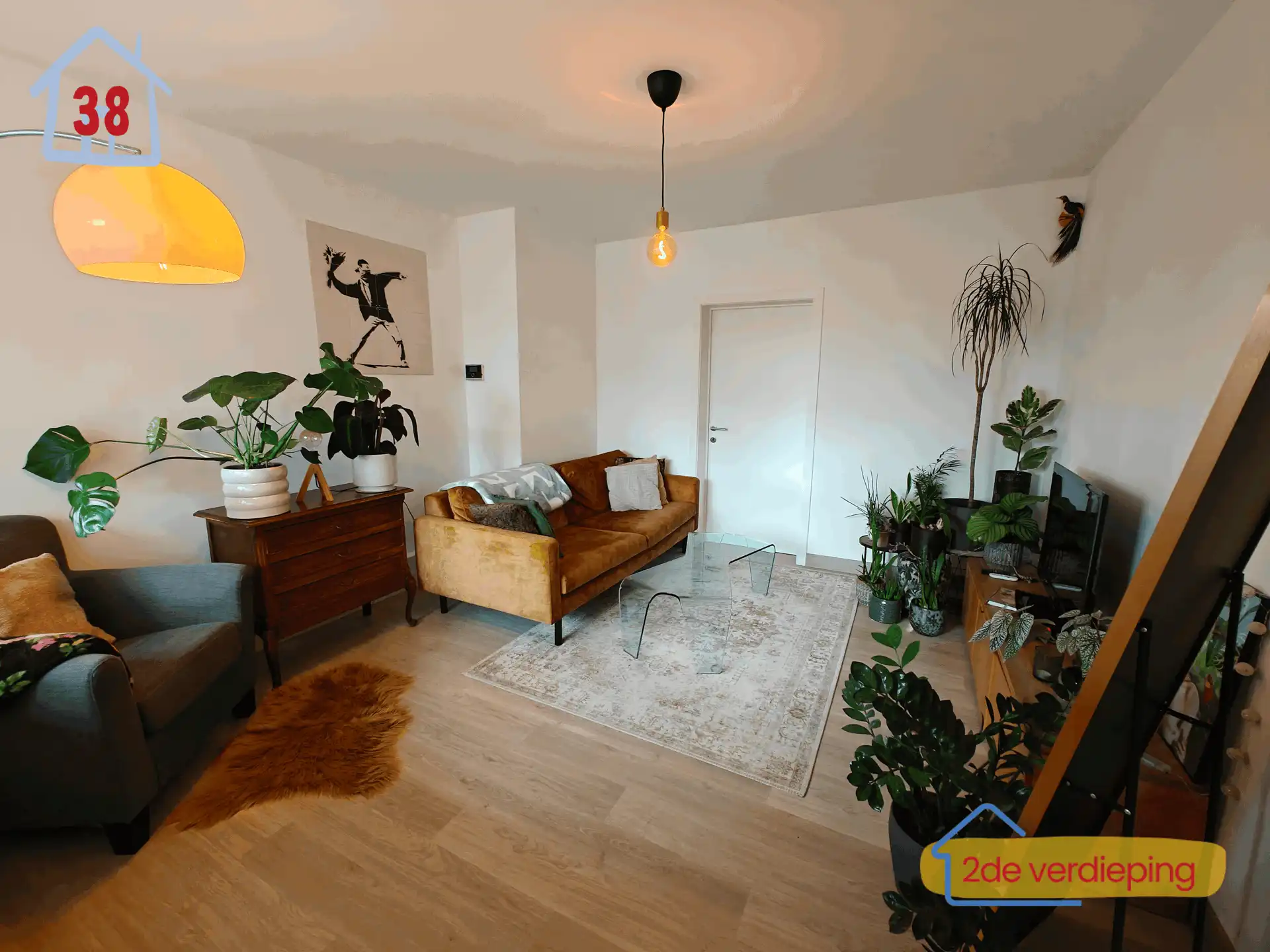 Huis te koop foto 67