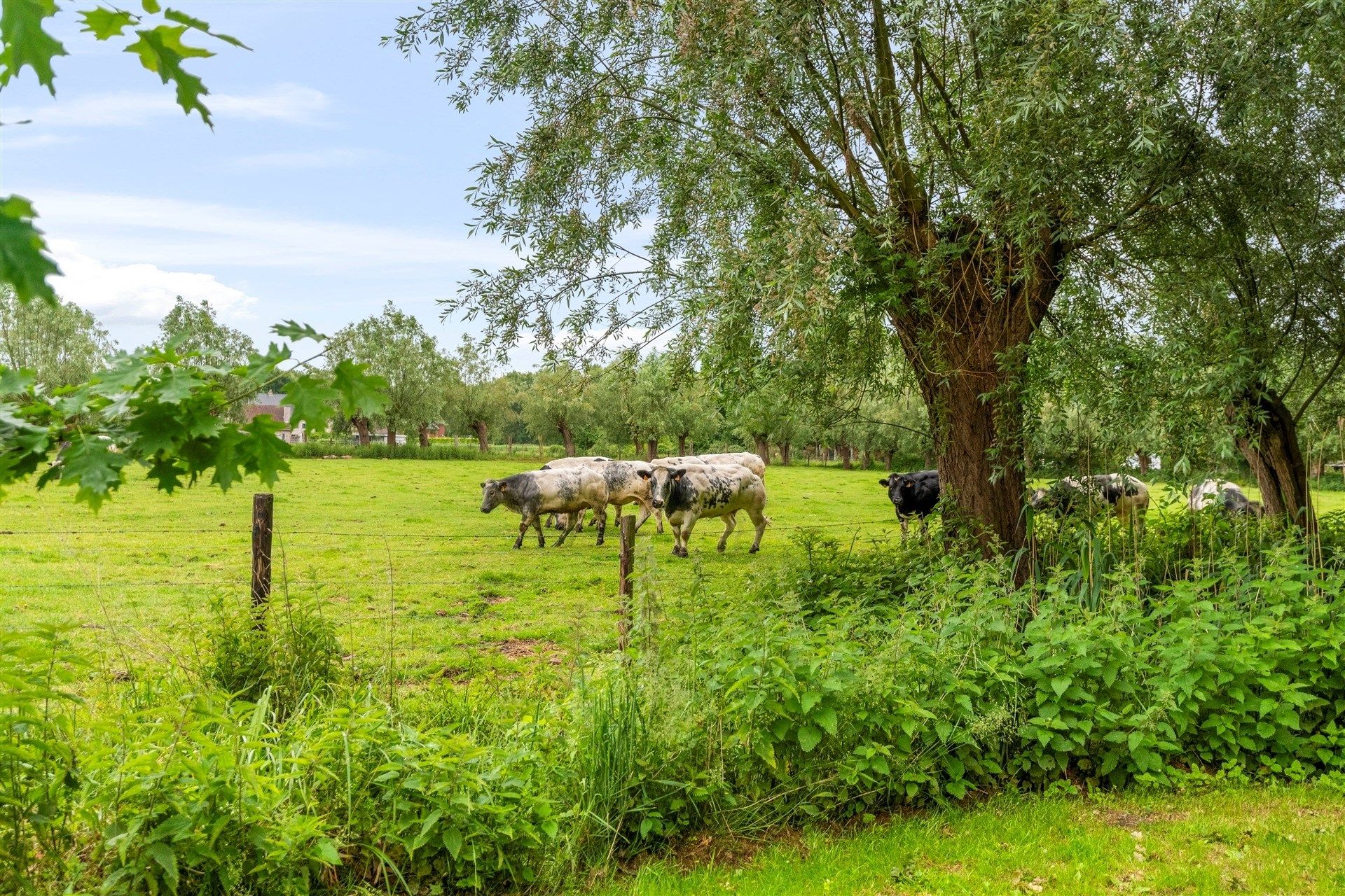 Open bebouwing met 5 slaapkamers op 2.561m² grond foto 29