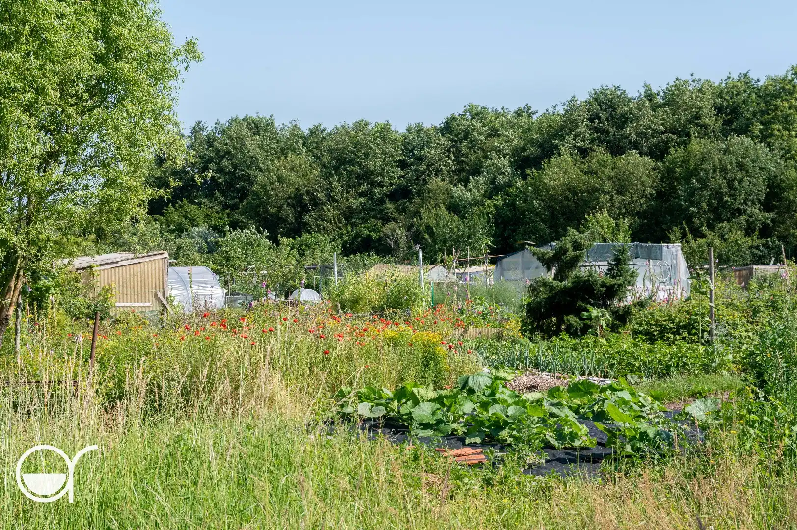 Landbouwgrond met 24 volkstuinen foto 7