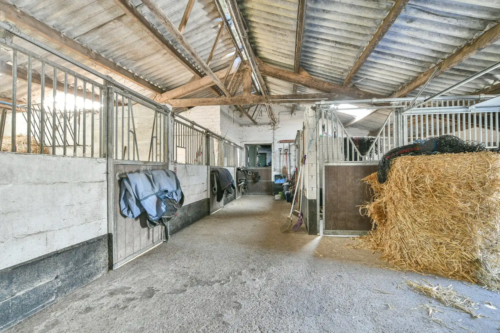 Authentieke hoeve met bouwland & stallen op unieke landelijke ligging tussen De Haan en Nieuwmunster foto 22