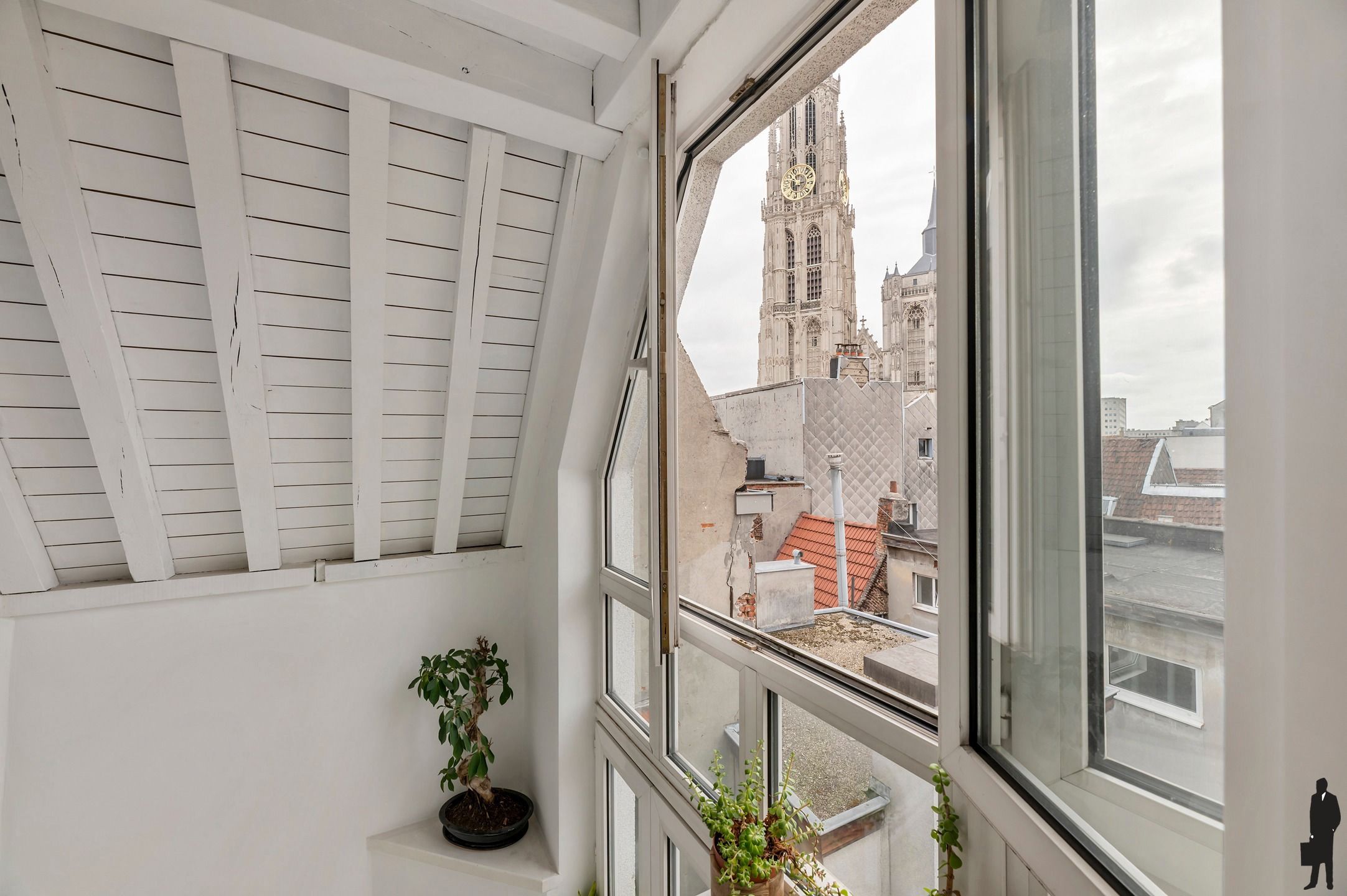 Unieke stadswoning met lift & terras in hartje Antwerpen foto 3