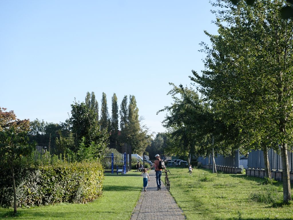 Atelier/loods met te renoveren woning, ruime tuin en bijzonder veel potentieel op een boogscheut van het stadscentrum. foto 15