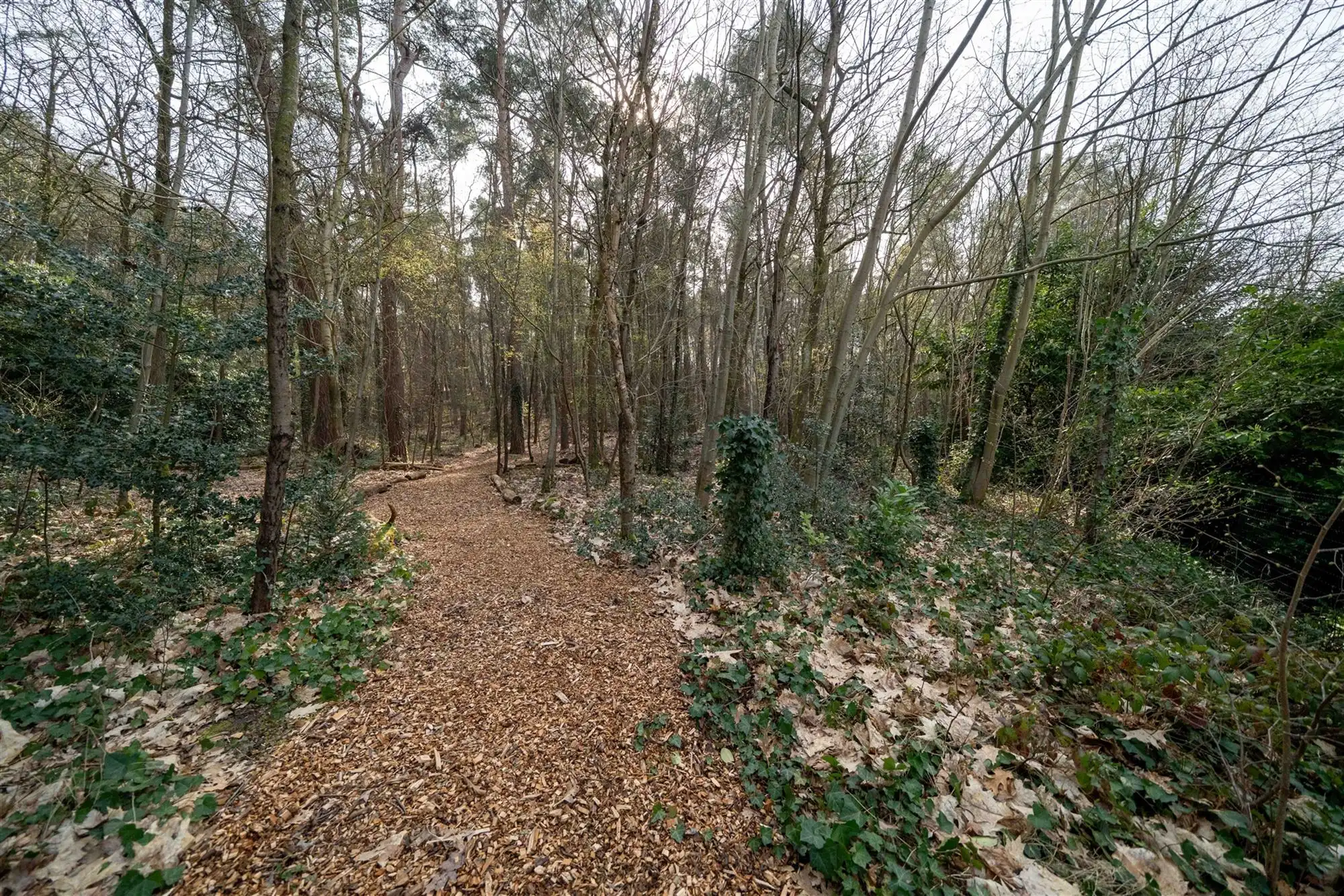 Ruime instapklare woning in het groene Langdorp/Aarschot! foto 38