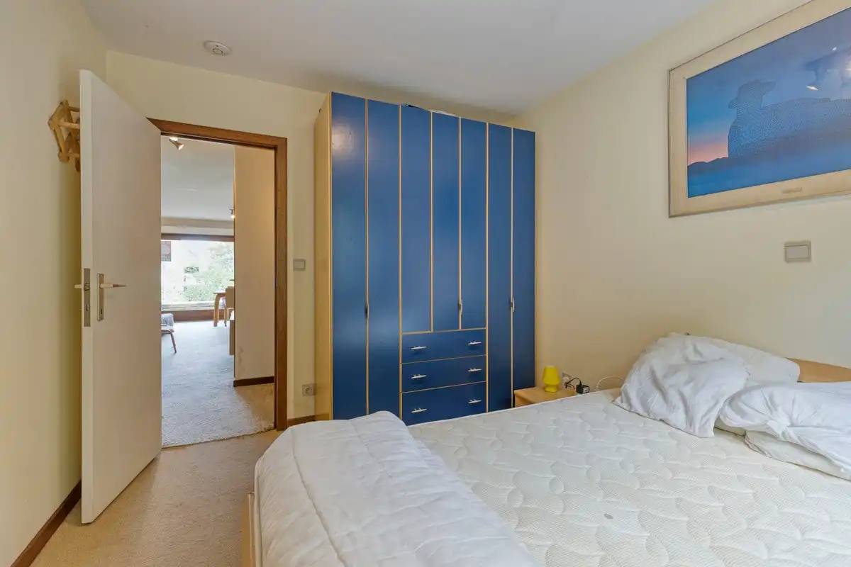Charmant 1 slaapkamer appartement met terras en mogelijkheid tot aankoop van een garage foto 7