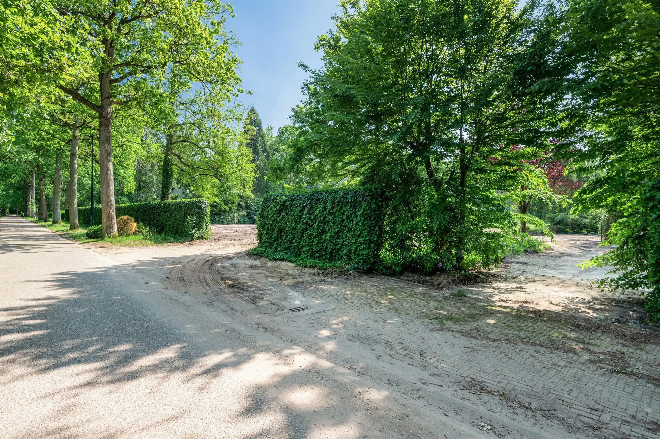 Exclusieve bouwgrond in één van de mooiste lanen van Schilde foto 3
