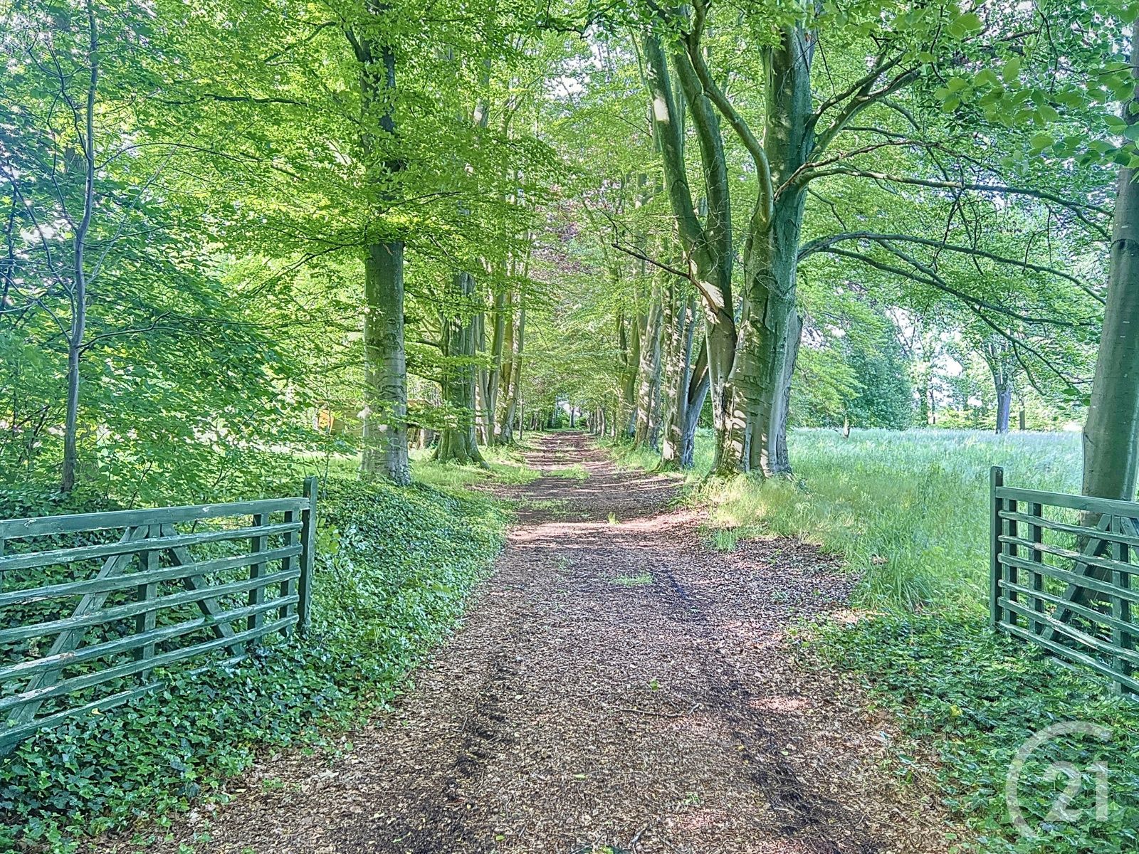 Uniek huis te koop in Halen! foto 46