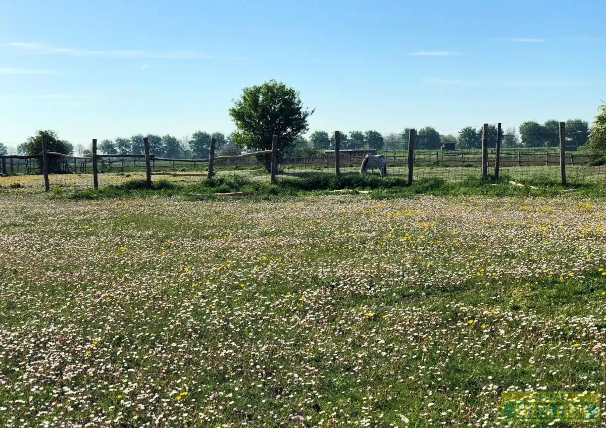 Huis te koop foto 18