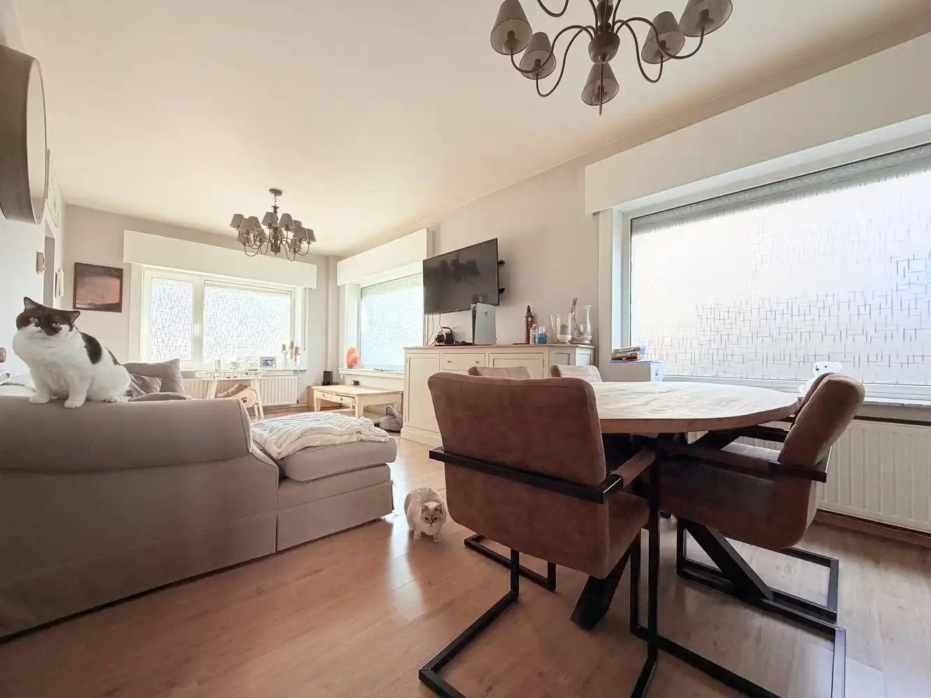 Prachtige instapklare woning met zonnige tuin! foto 2