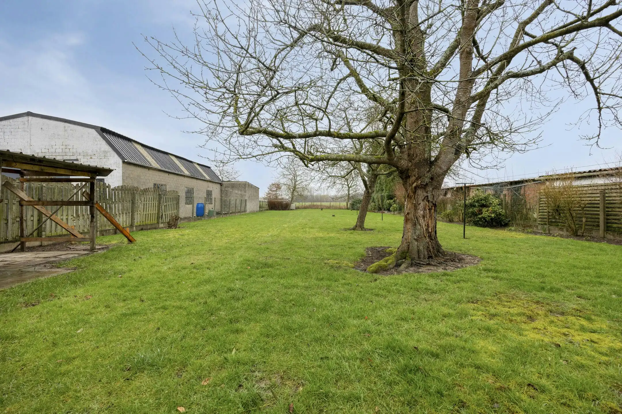 Solide gezinswoning met grote tuin te koop in Oudenaarde foto 2