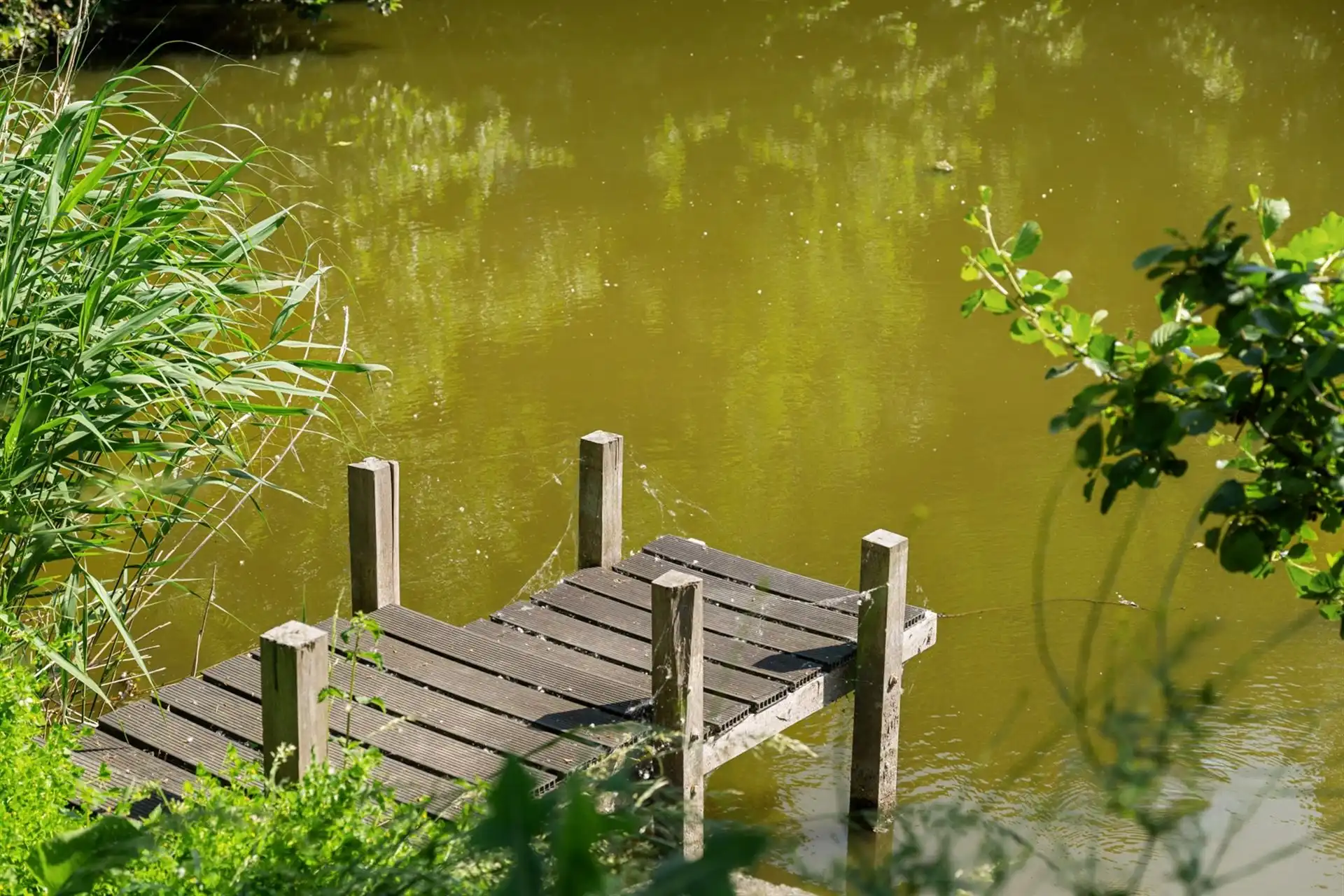 Exclusieve villa op unieke topligging aan een Scheldearm foto 4