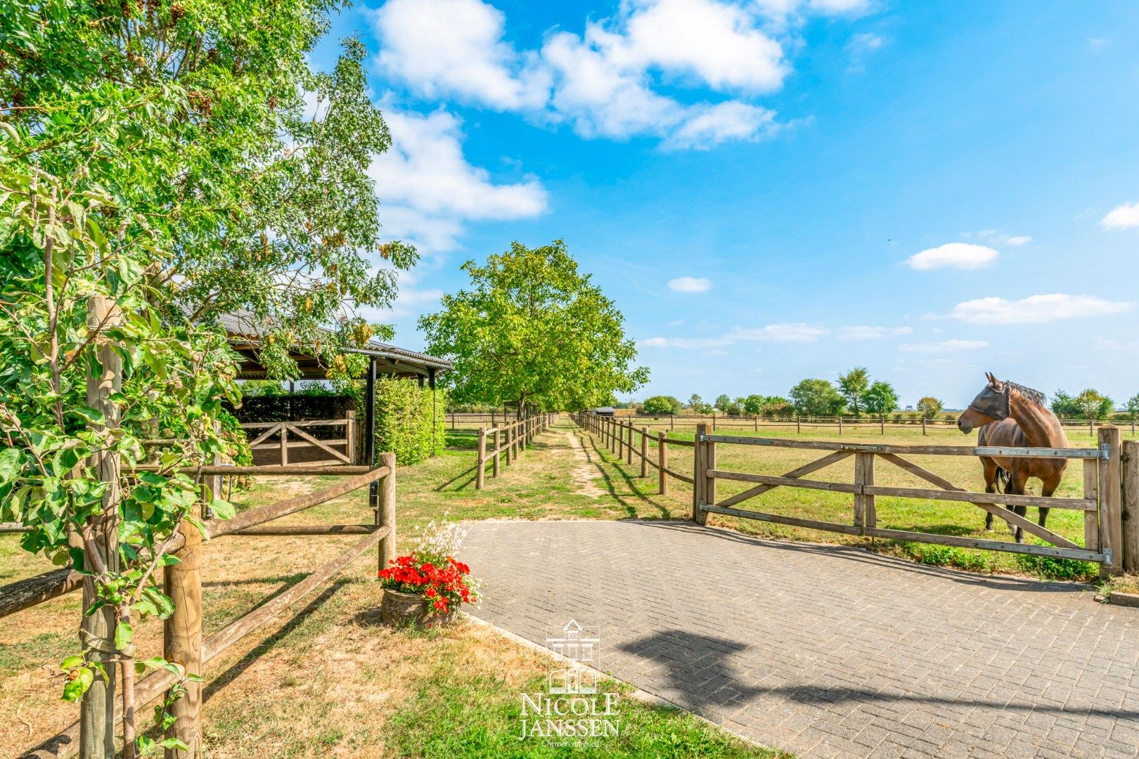 Moderne riante woning met paardenstallen en uitgestrekte weiden foto 29