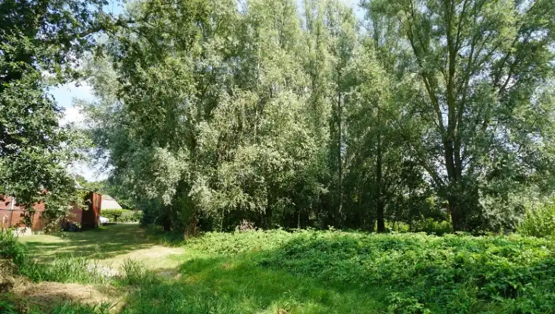 Bouwgrond 8 are 80 ca open bebouwing vlakbij centrum met mooi achterzicht op groene omgeving foto 5
