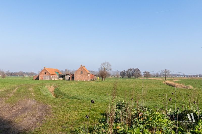 UNIEK gelegen hoeve op 7.290m² in Maldegem foto 6
