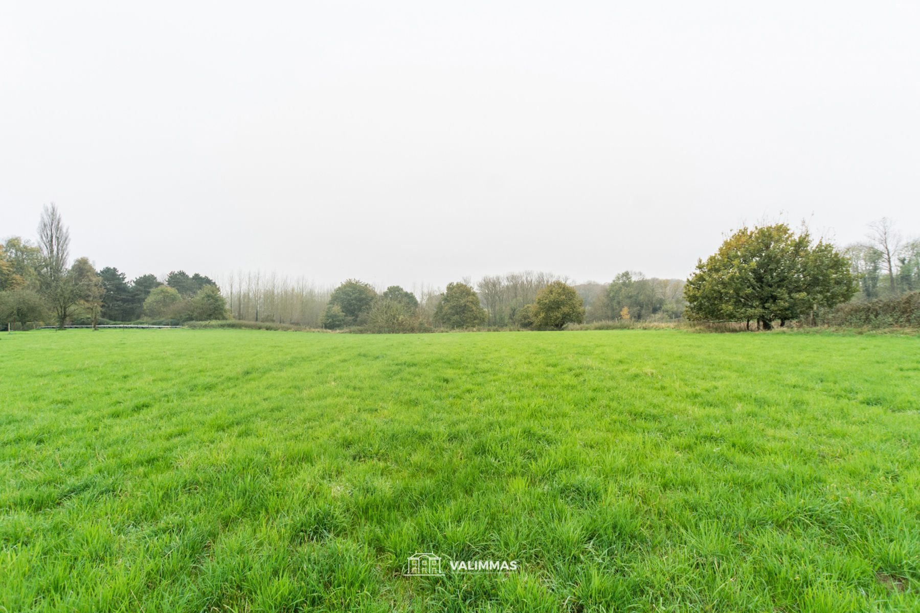 Mooi gelegen weide, vrij van pacht foto 3