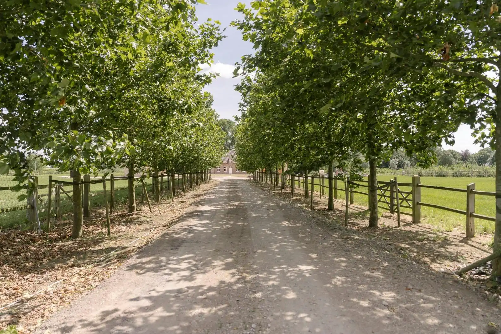 Uitzonderlijke nieuwbouwhoeve op ruim 2 hectare in Roeselare foto 3