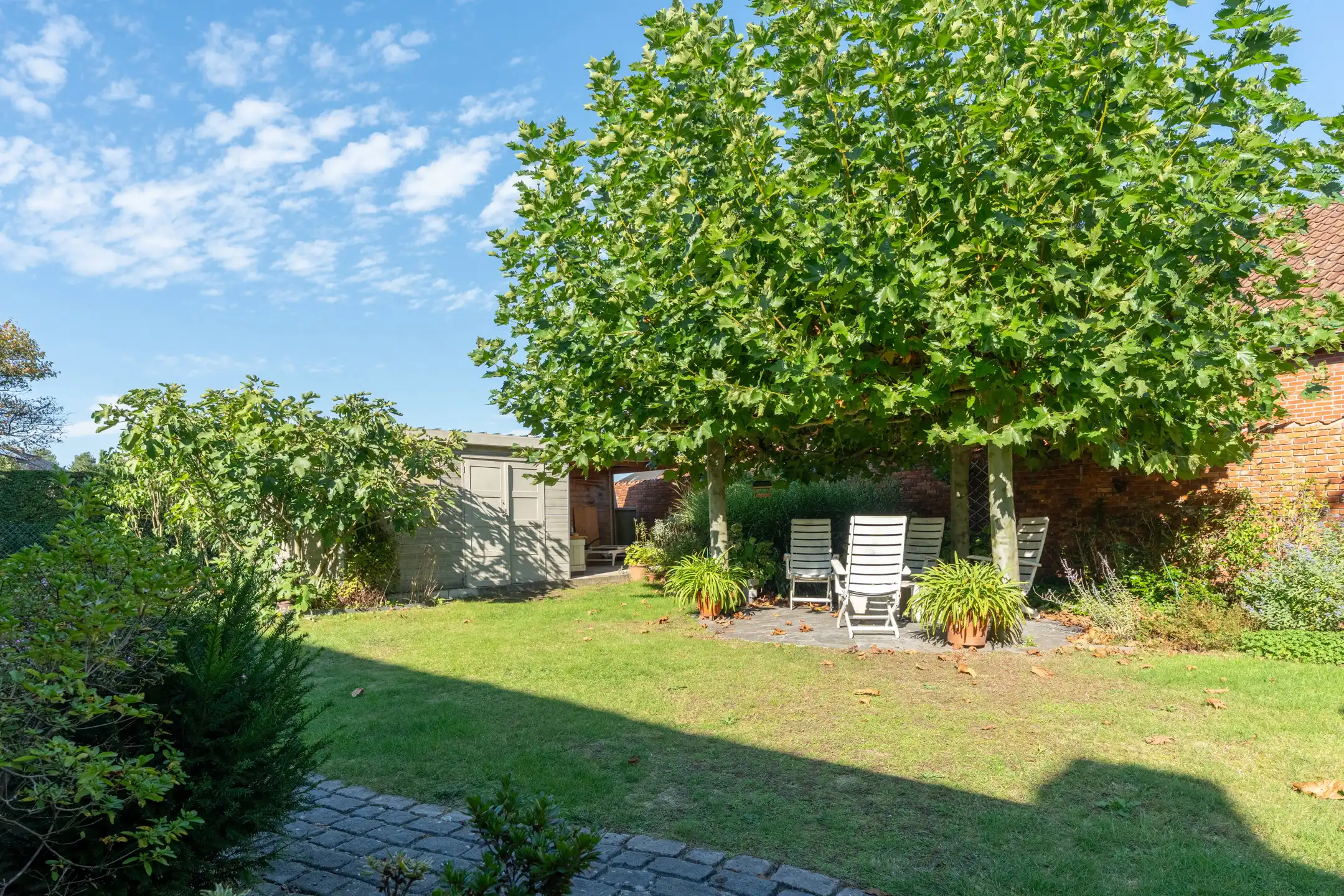 Gunstig gelegen laagbouwwoning met 3 slpks, tuin en garage. foto 31