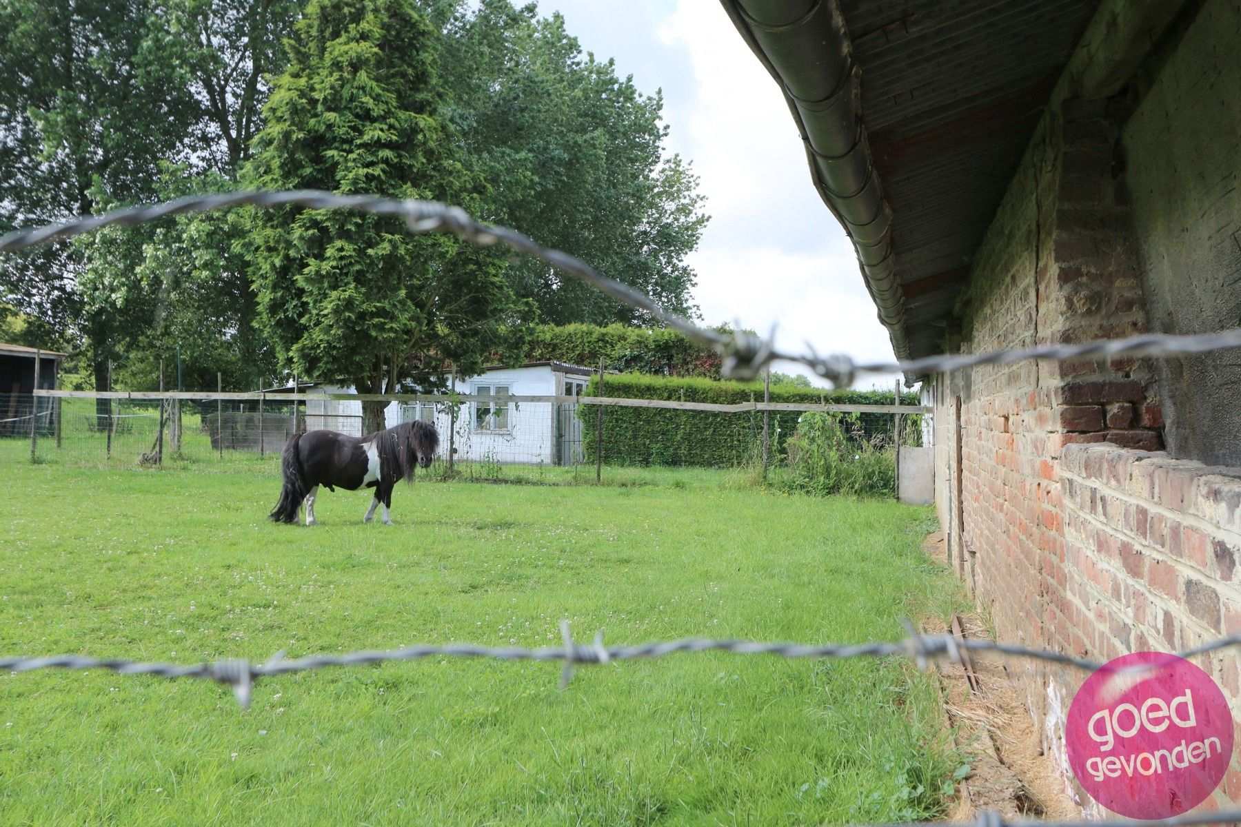 AUTHENTIEKE HOEVE MET WOONST EN GROND - PRACHTIGE LIGGING foto 46