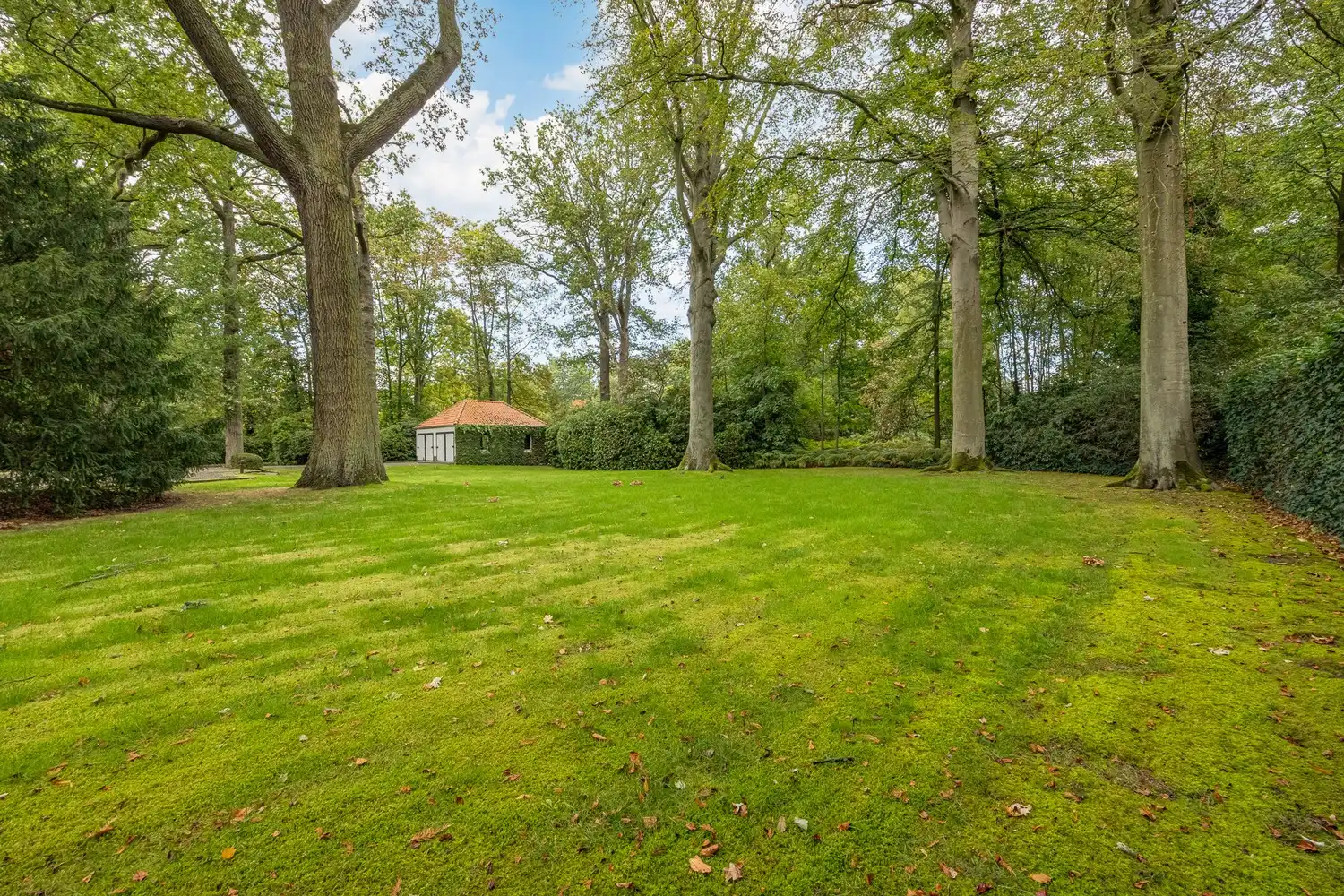 Karaktervolle te renoveren rietgedekte villa op een uitzonderlijk parkdomein van 13.670 m² in Vriesdonk (inclusief bouwgrond van ca. 4.543m²!) foto 35