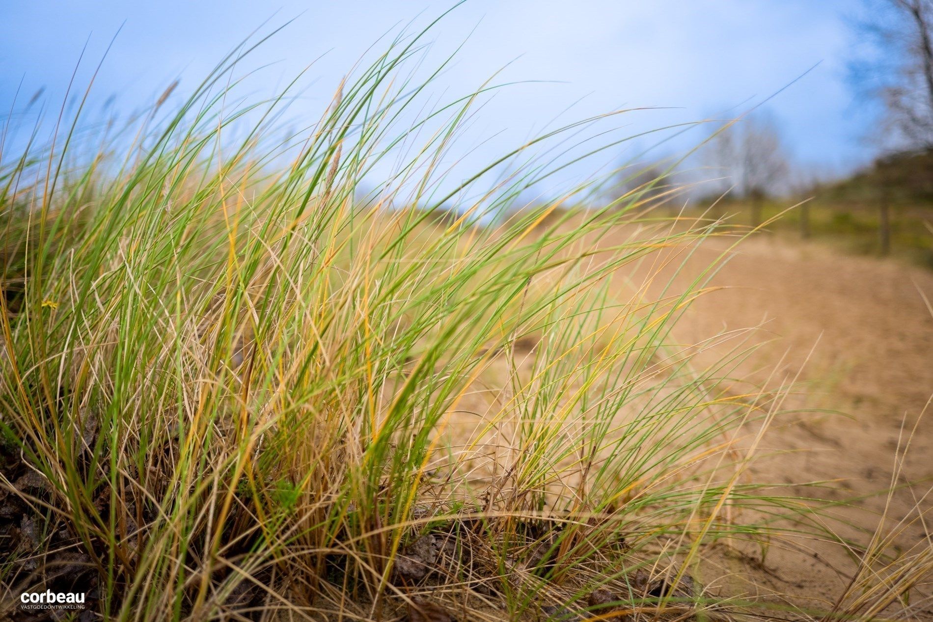 Stijlvol en luxueus wonen in hartje Koksijde nabij de natuur, zee en shopping! foto 20