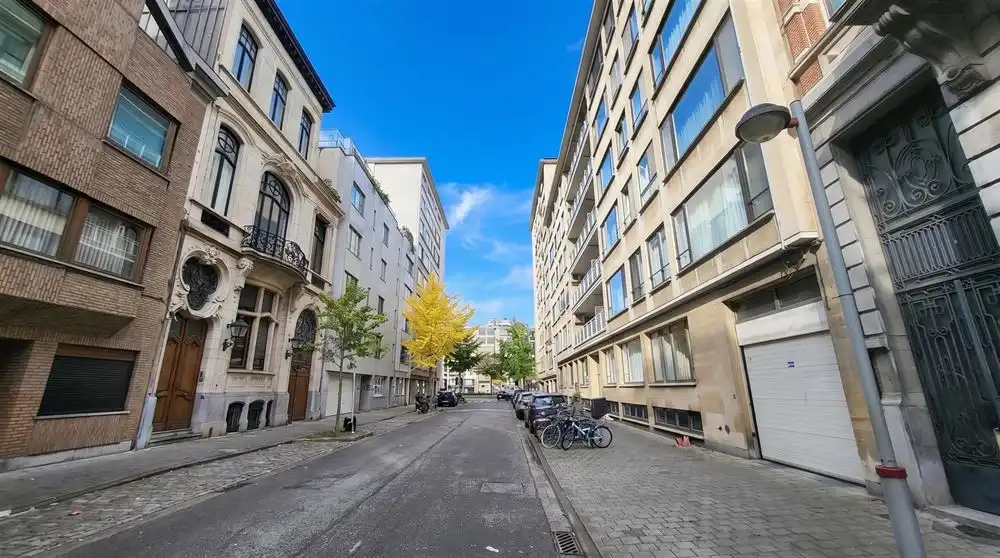 Ruim 1slpkr- appartement + terras | Haringrodewijk  foto 2