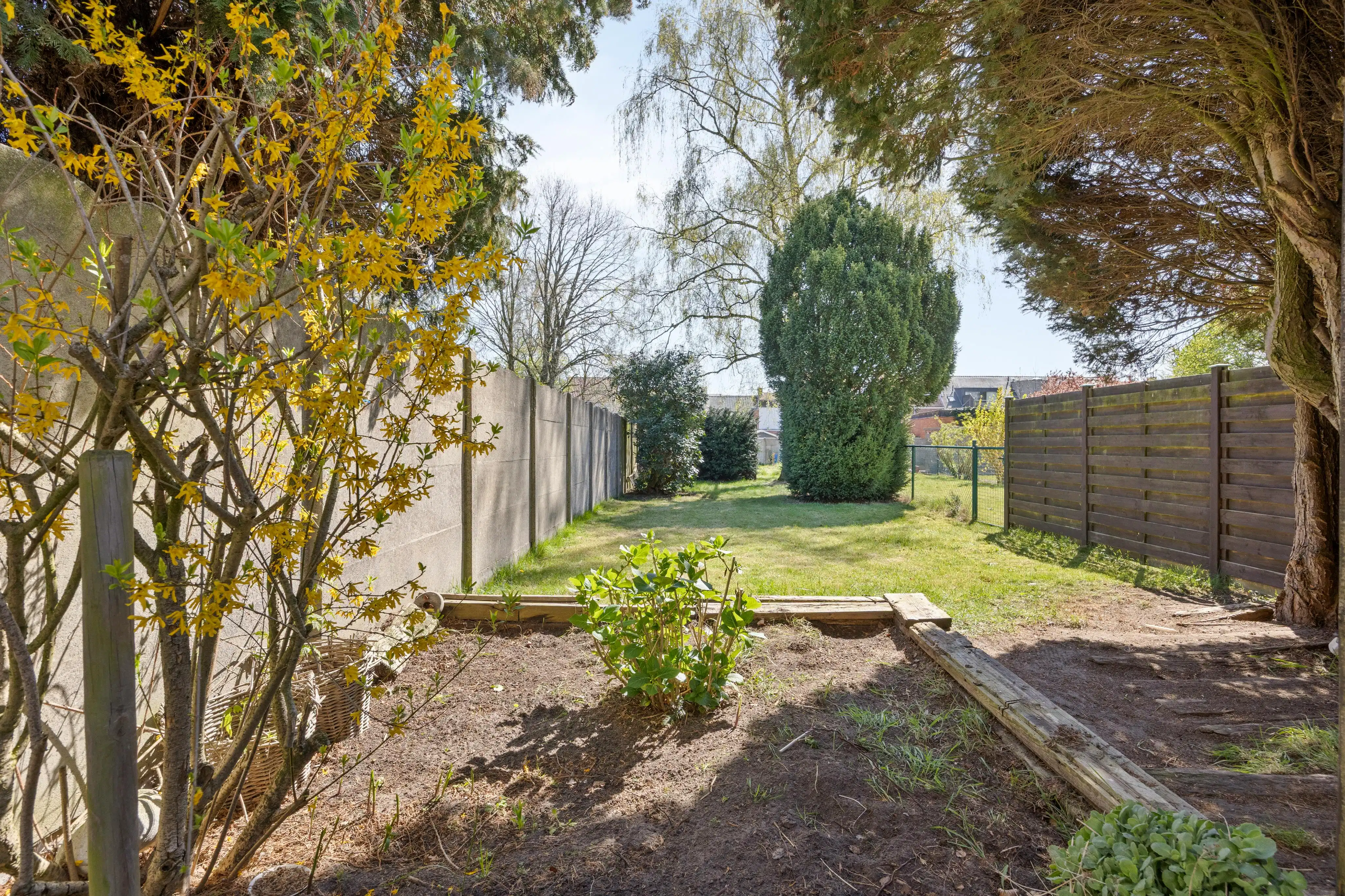 Charmant huis met veel potentieel te koop in Kapellen! foto 23