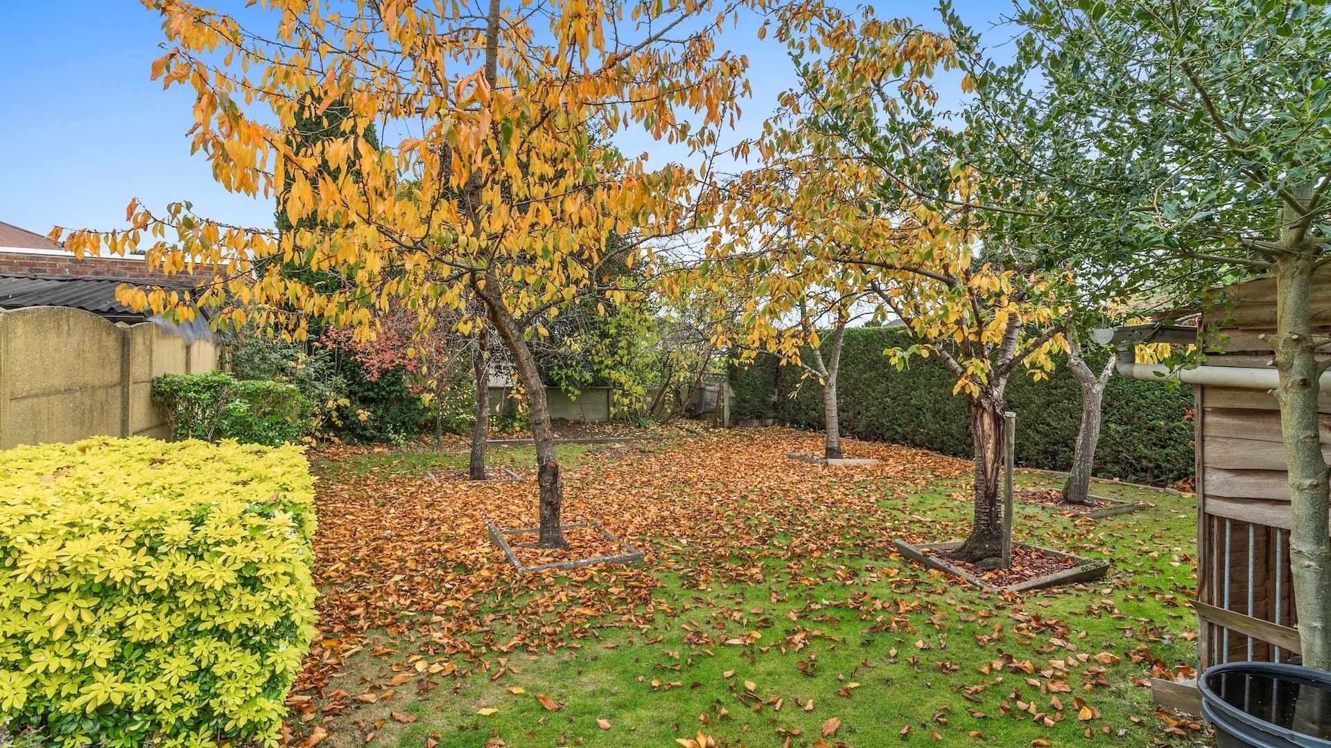 Te renoveren woning (G.B.) met 3 slpkrs  te Genk foto 19