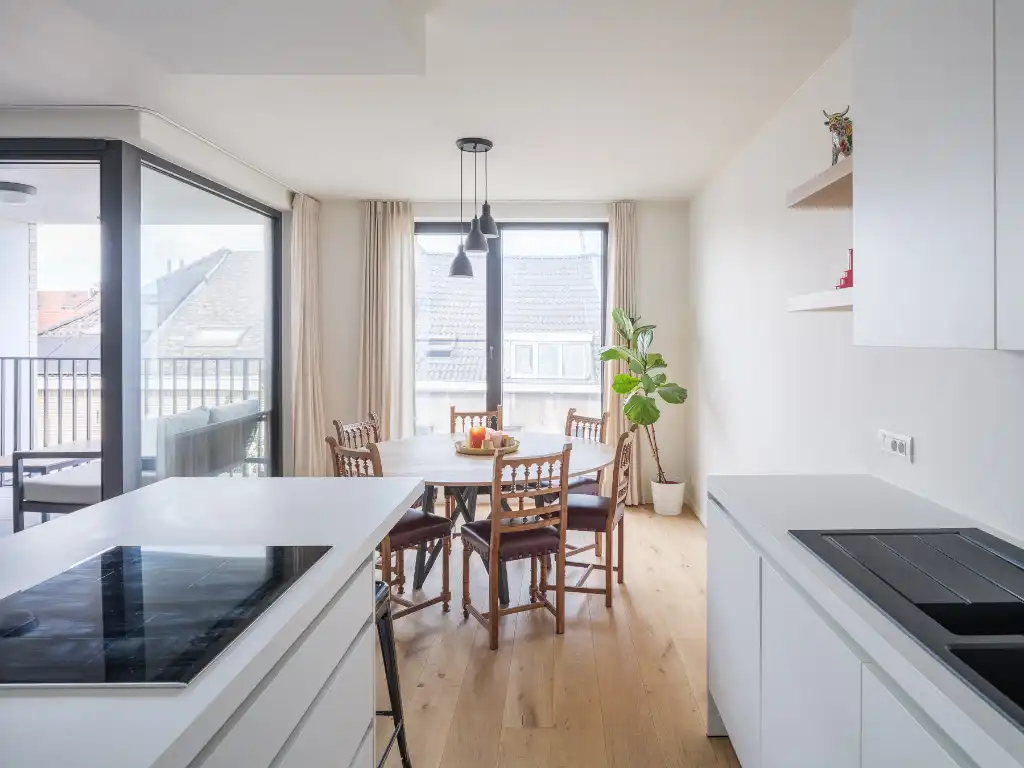 Lichtrijk appartement met twee volwaardige slaapkamers en zonneterras nabij het Baudelopark. foto 6