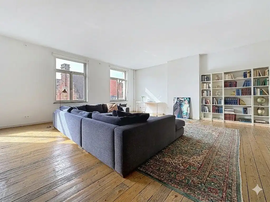 Loft met 1 slaapkamer te Brussel nabij KVS foto 4