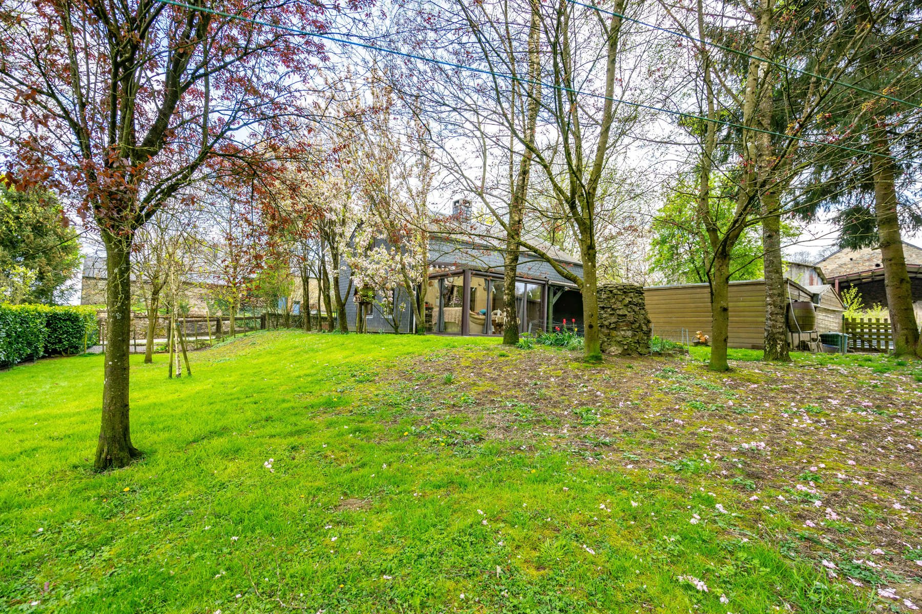 Huis te koop foto 4