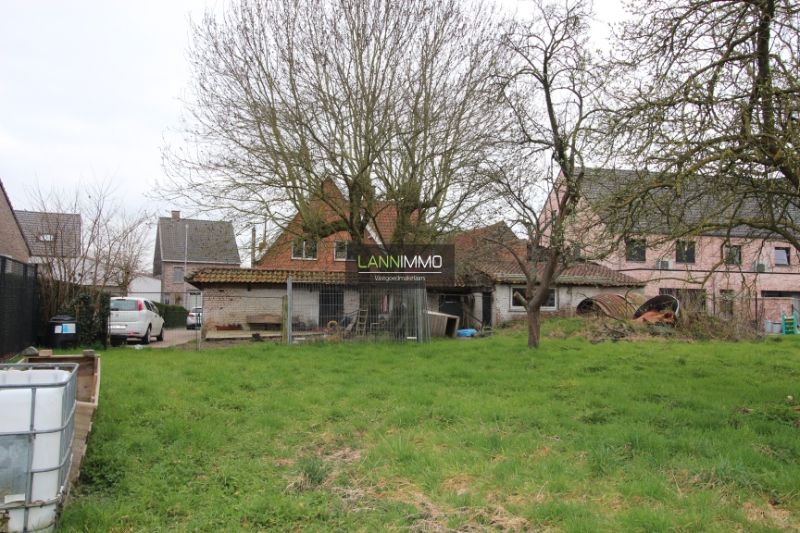 Projectgrond met boomgaard foto 5