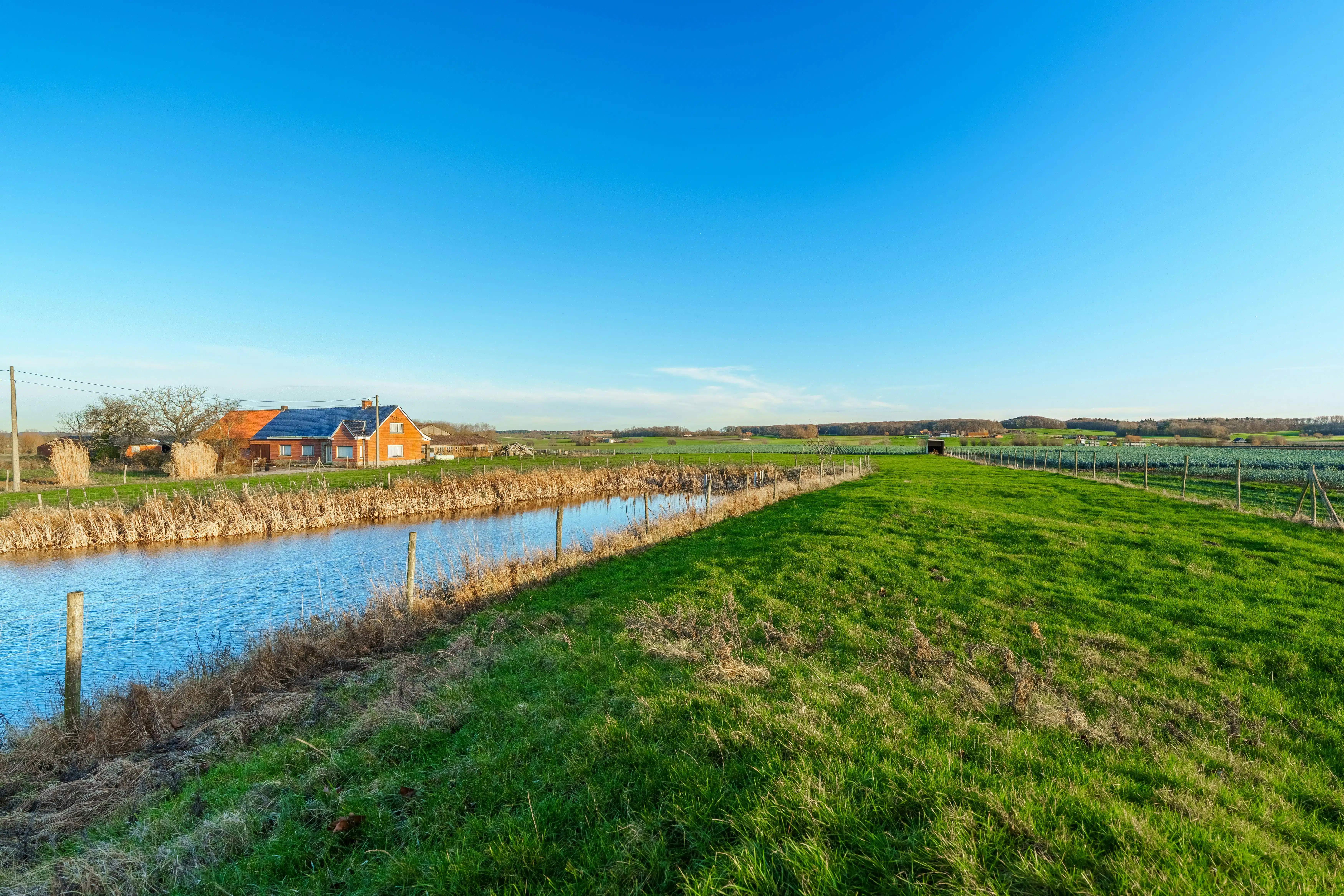 Authentiek te renoveren hoeve met uniek potentieel op bijna 3 hectare in Voormezele  foto 8