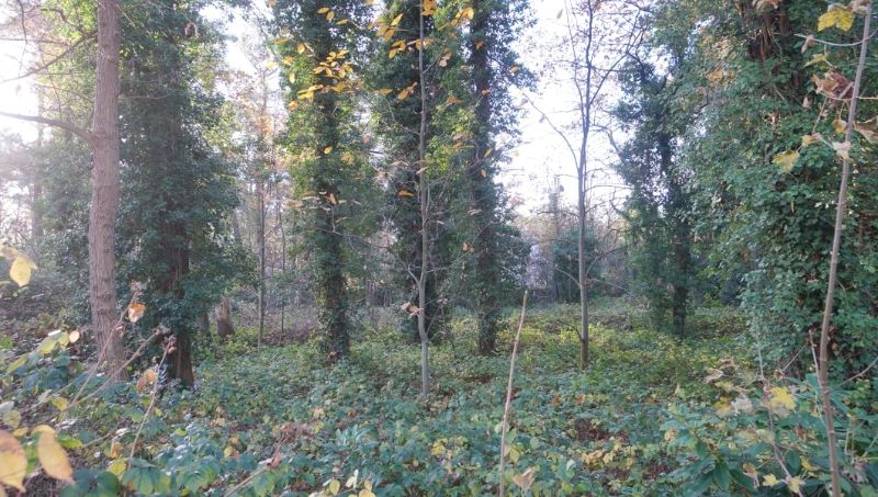 Mooie bouwgrond van 30 are voor villa of duo-wonen foto 3