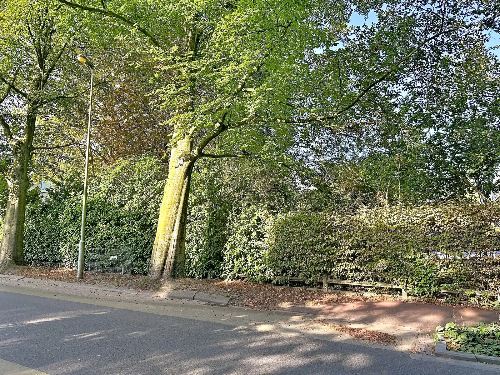 Bouwgrond voor een villa op toplocatie nabij Kasteel Solhof foto 2
