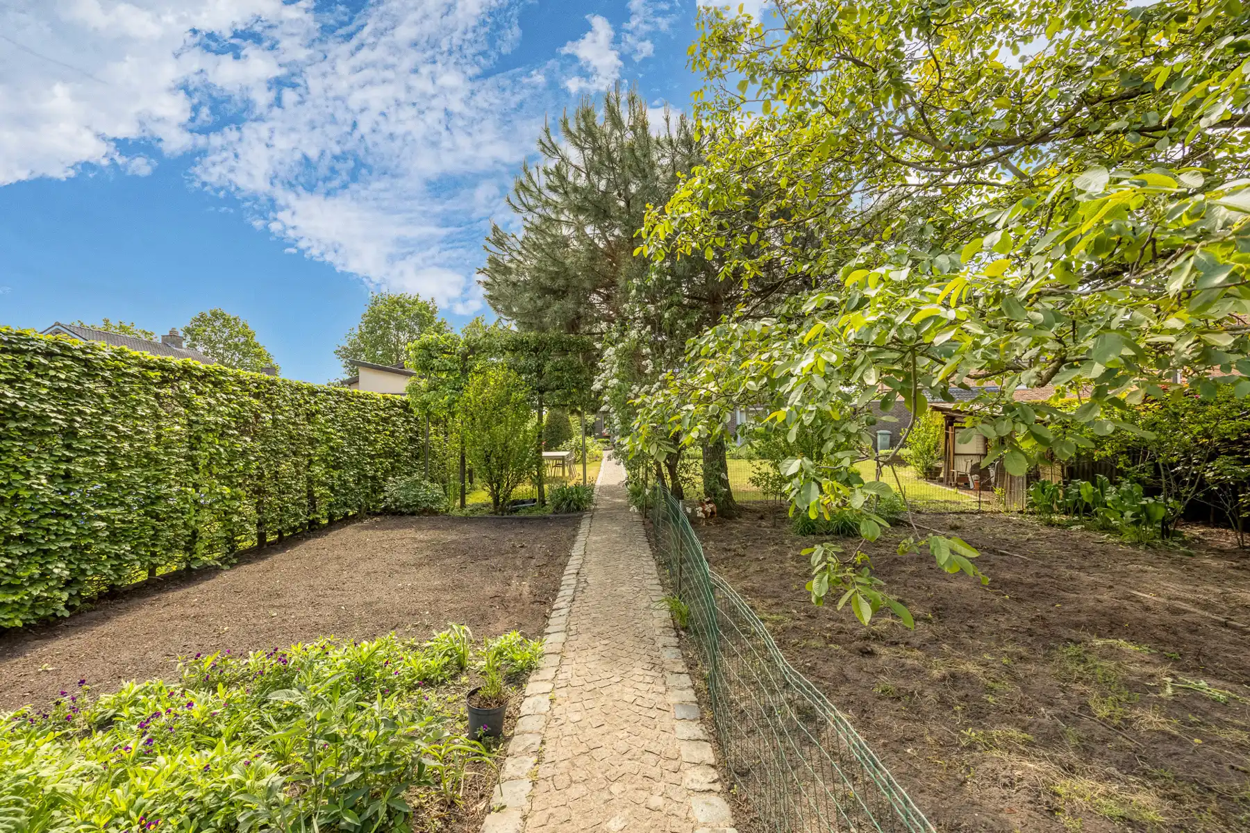 Degelijke en energiezuinige villa  op ca. 1000 m2 foto 35
