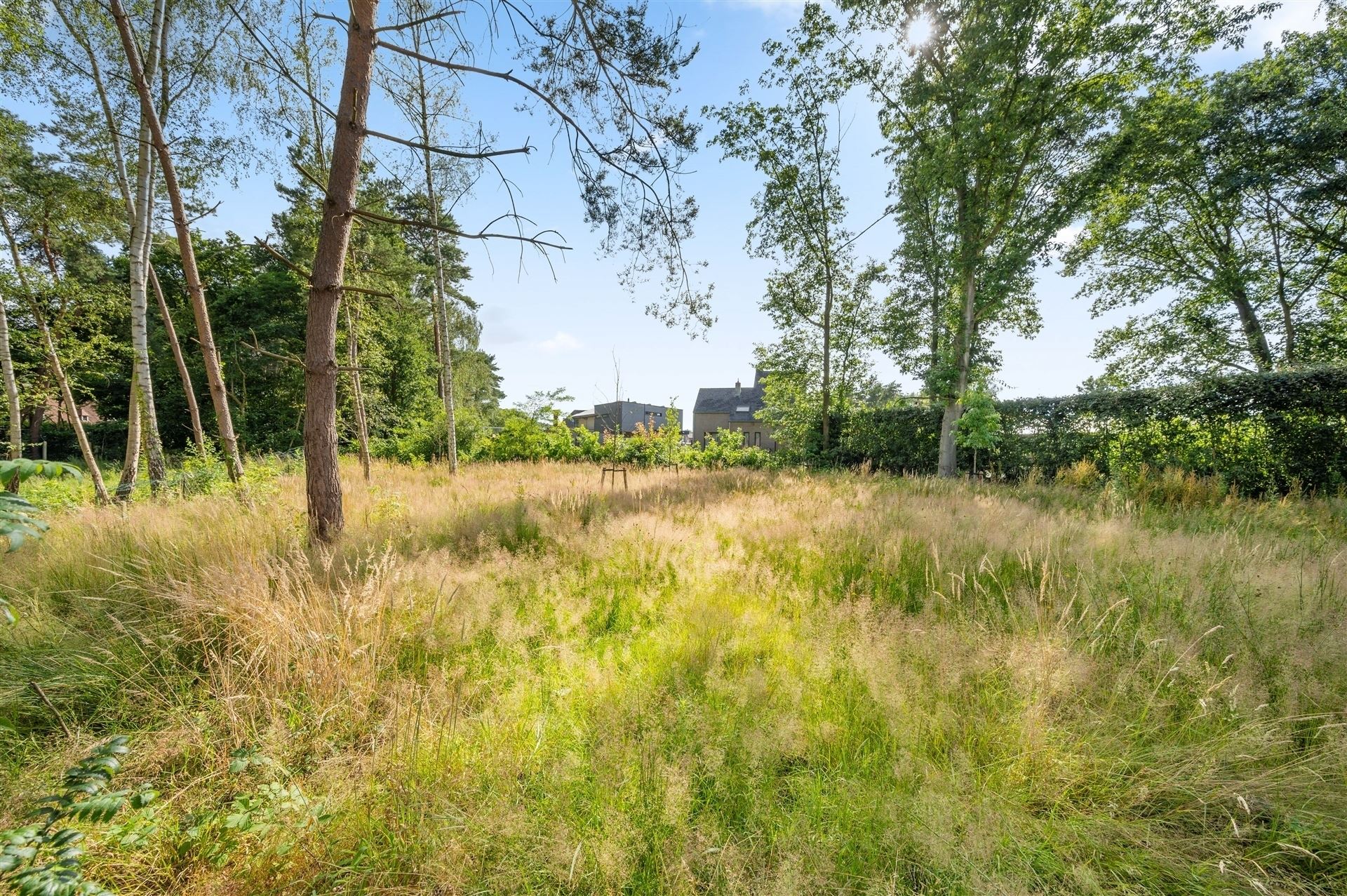 Volledig gerenoveerde woning met zuidwest gerichte tuin foto 27