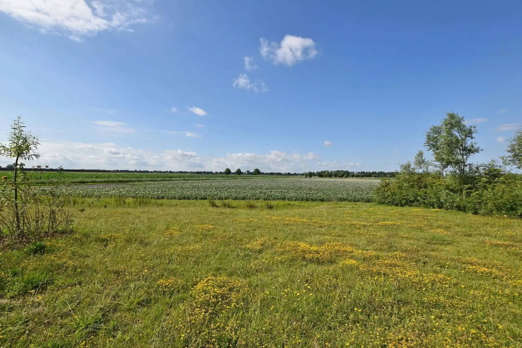 NIeuw te bouwen villa met goedgekeurde vergunning. foto 2