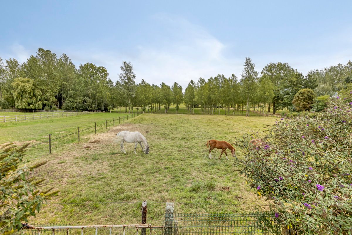 Gelijkvloerse woning te koop in het groene Romershoven (Hoeselt) foto 24