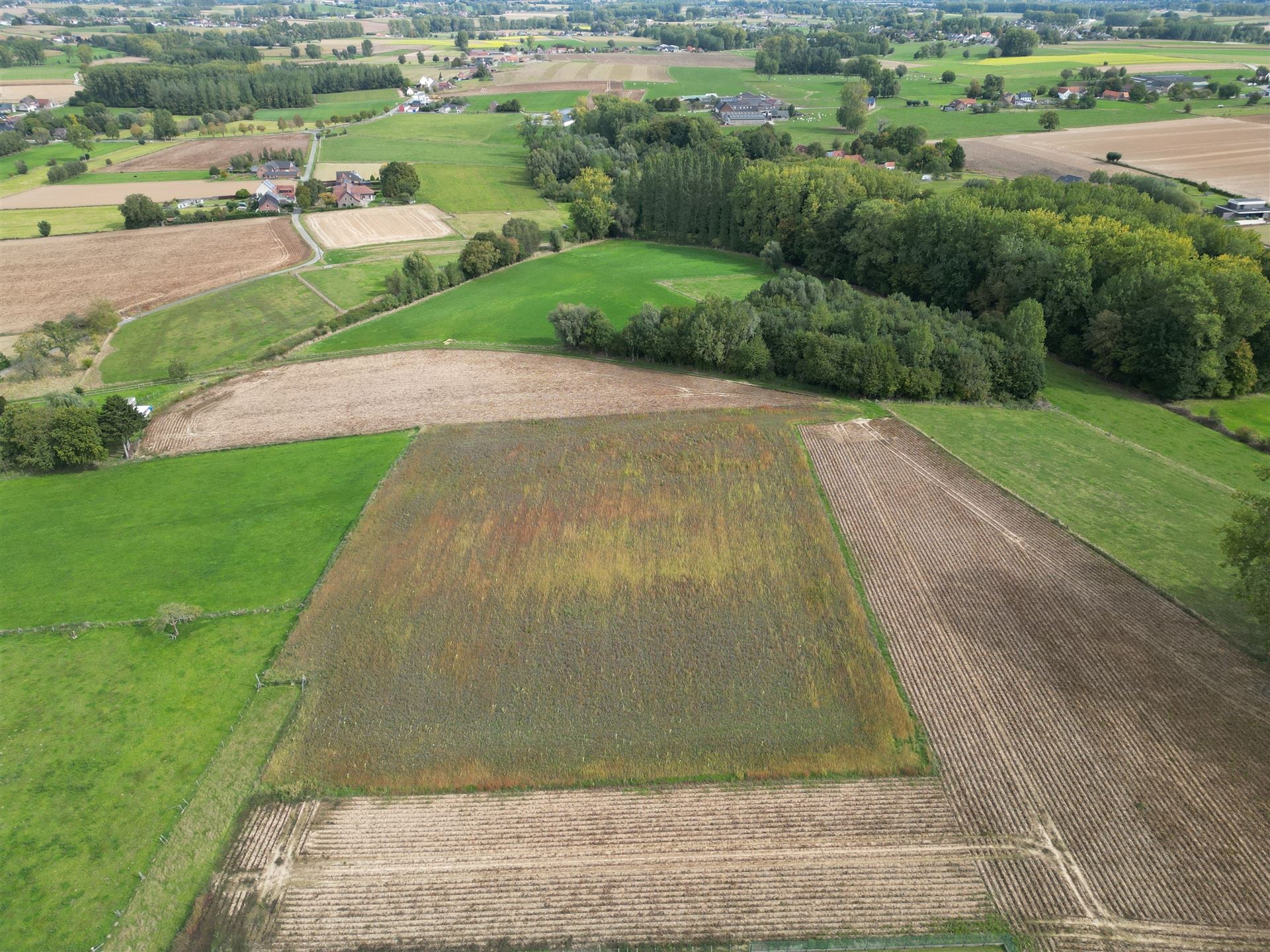 Ruime 4-slaapkamerwoning op een perceel van 48are in Parike! foto 23