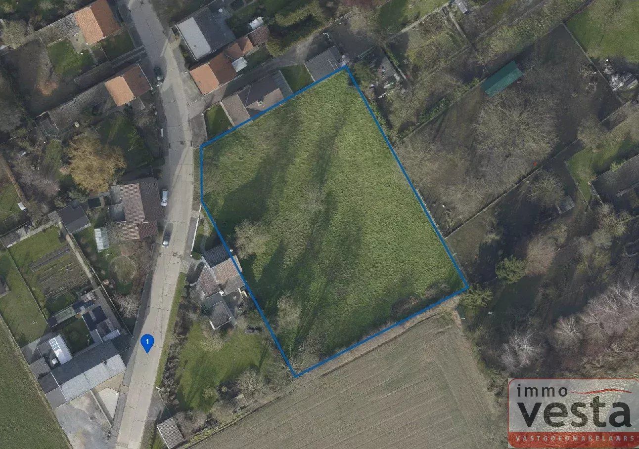 Bouwgrond met verkavelingsmogelijkheid foto {{pictureIndex}}