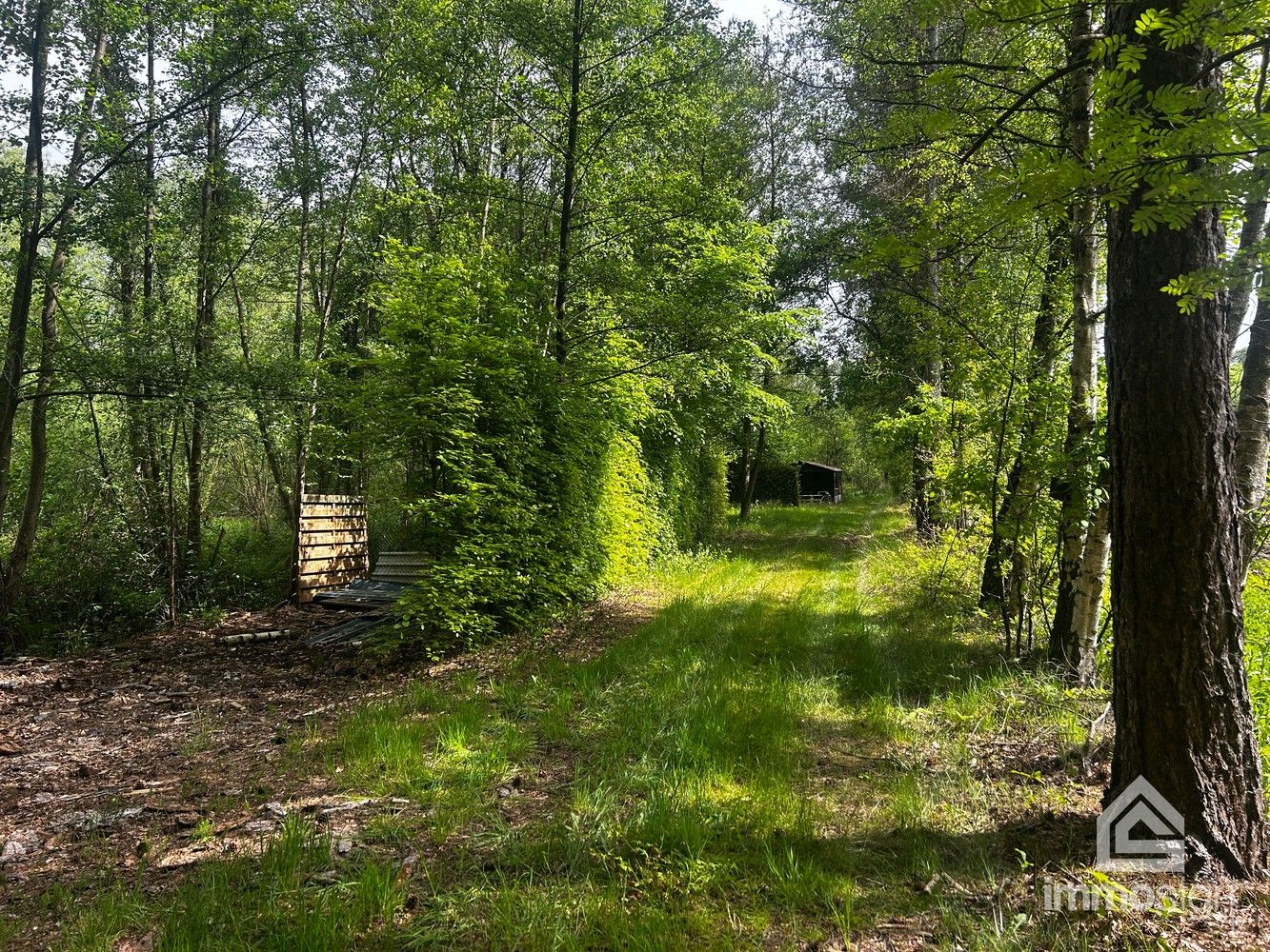 Uniek stukje natuurgebied van 1.470 m² gelegen te Hamont-Achel! foto 11