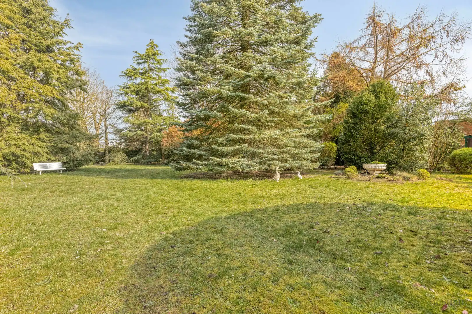 Projectgrond met woning te koop in Schoot, Tessenderlo foto 10