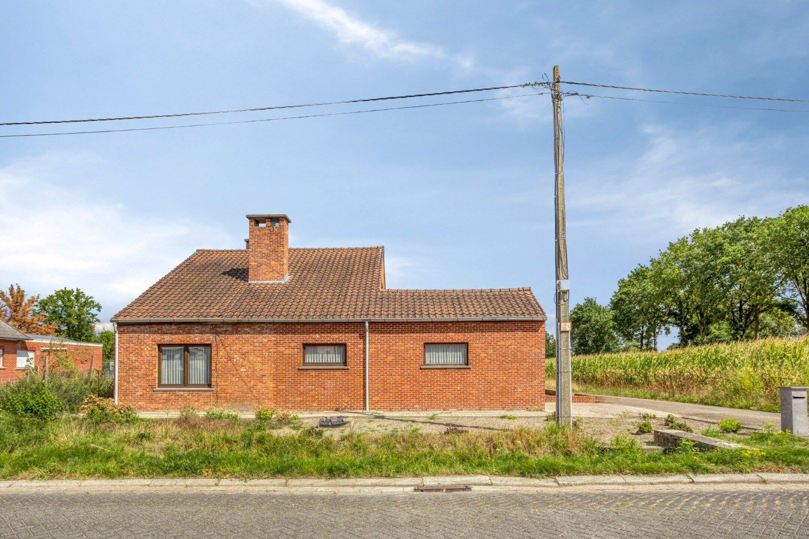 Woning met 3 slaapkamers op 3.363 m², landelijk gelegen te Olen ! foto 8