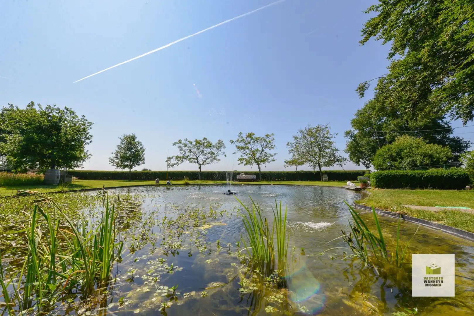 Idyllisch gelegen woning op 3.928 m2 met natuurlijke zwemvijver en 360° vergezicht foto 14