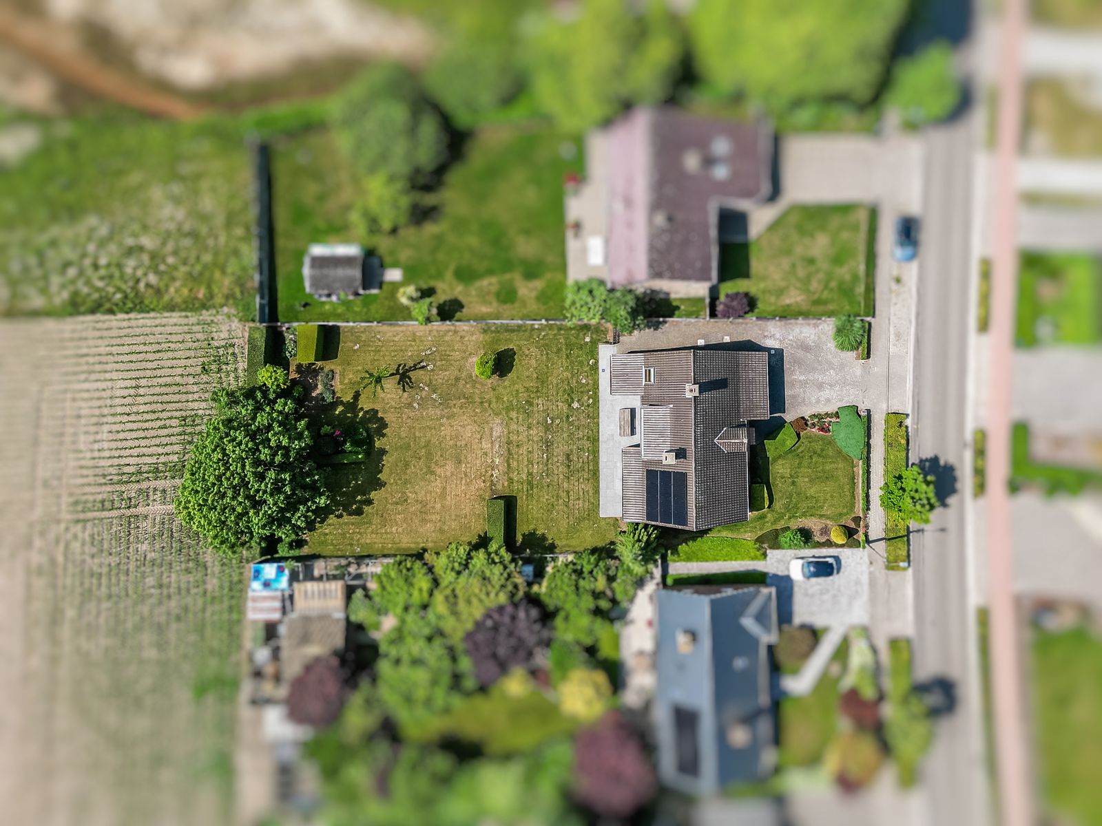 Mooie, landelijke woning op een prachtig perceel van 1071m² te Puurs-Sint-Amands. foto 4