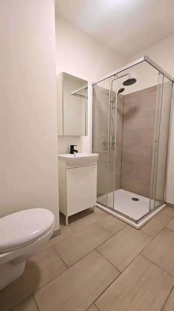 Gerenoveerd 1-slaapkamerappartement met terras op de 6de verdieping foto 6