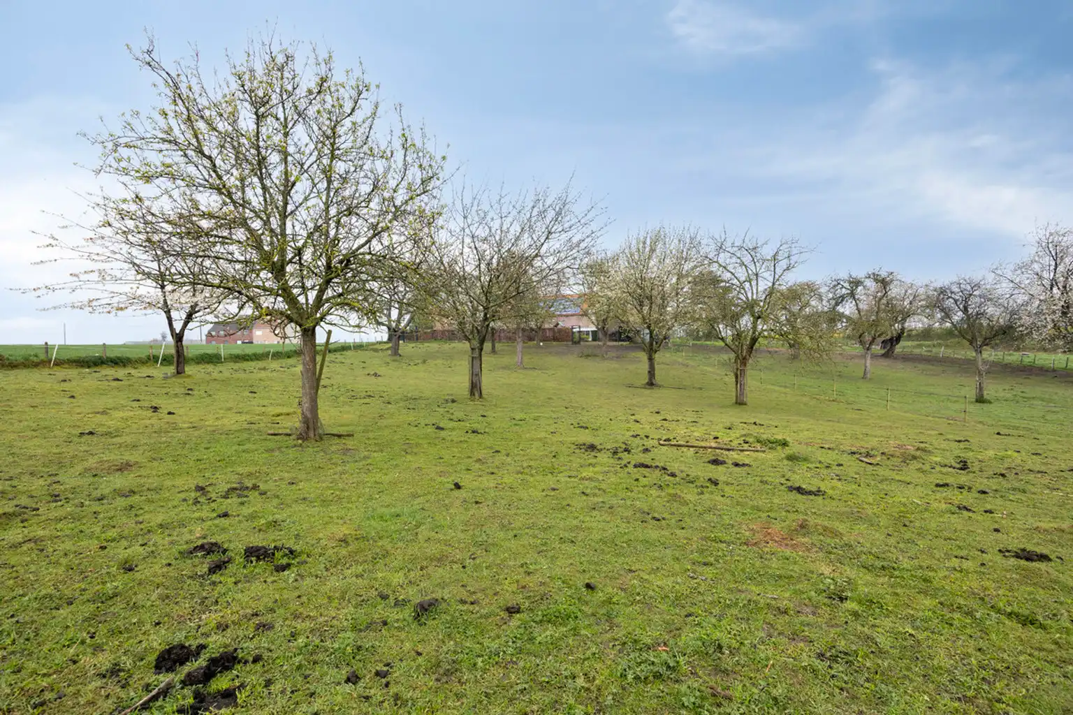 Instapklare droomvierkantshoeve met boomgaard, weilanden  foto 12