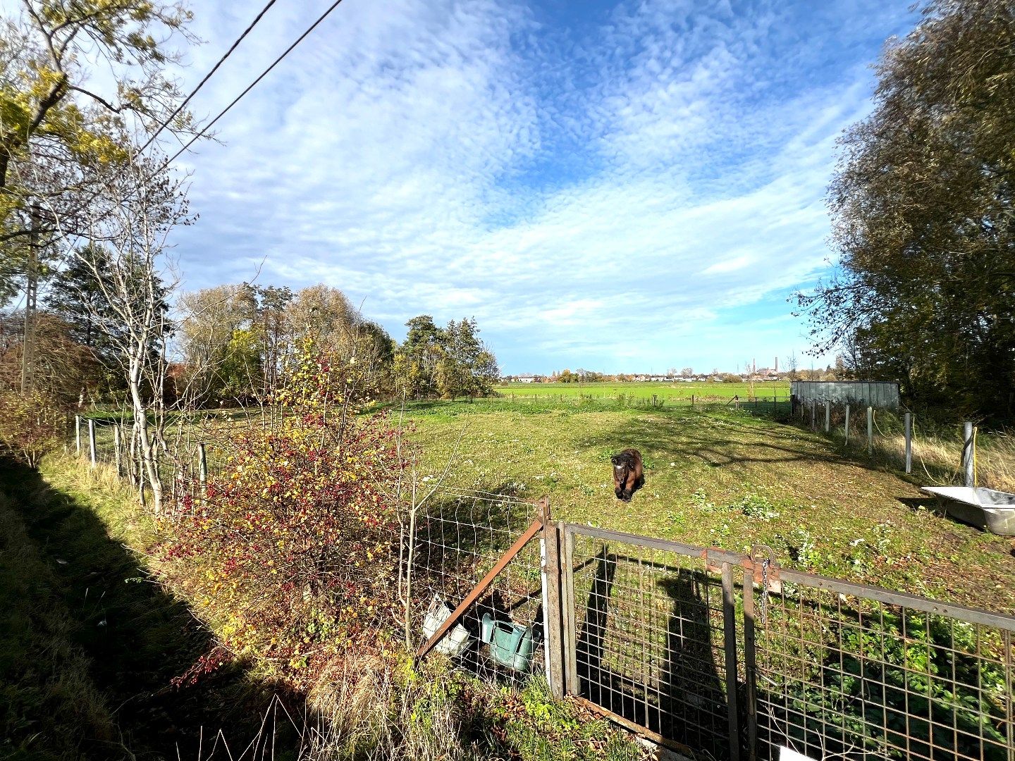 Weiland te koop – 3.160 m² – Zwevegem 🌿🐴 foto {{pictureIndex}}