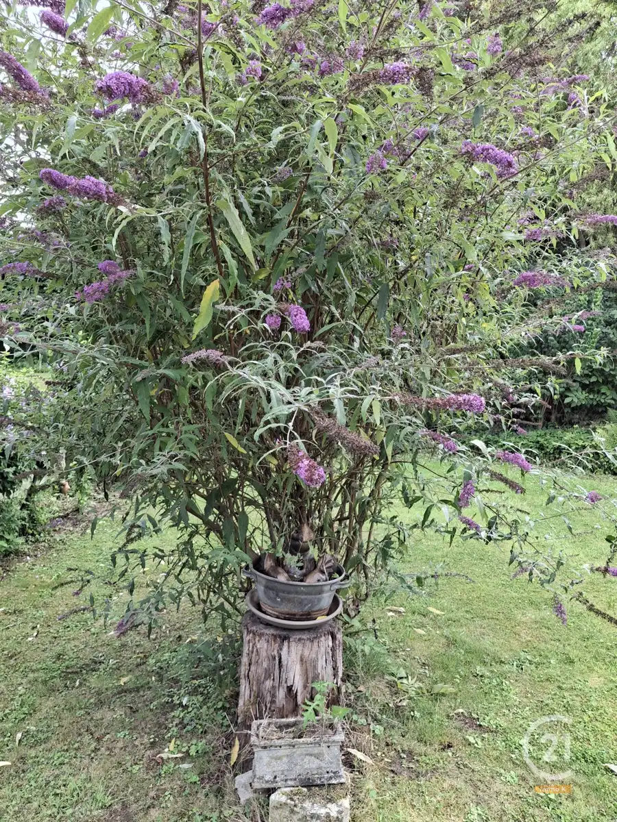 Rustig gelegen, degelijk, op te frissen huis met potentieel  foto 18