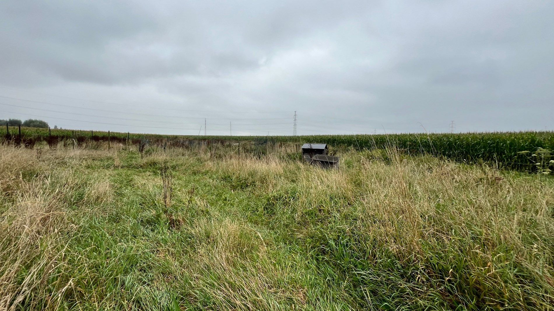 Groot stuk landbouwgrond van 4970 m² foto 2