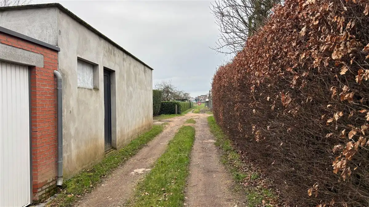 Top gelegen perceel weiland foto 10